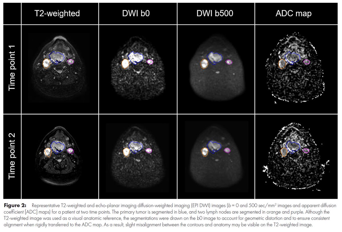 RadIC_Editor tweet media