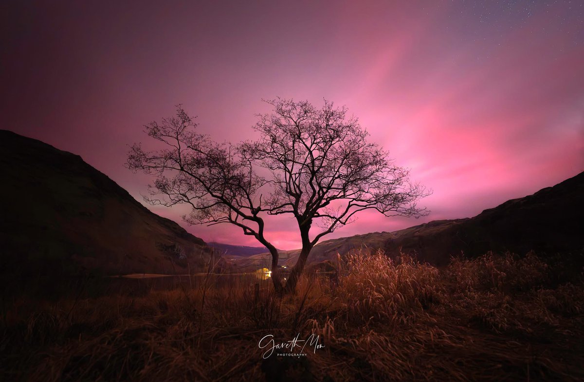 Gareth Mon Jones tweet media