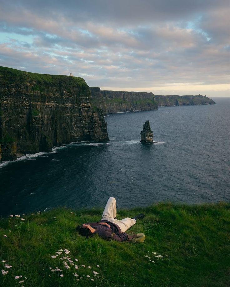 greenvibe's tweet image. 