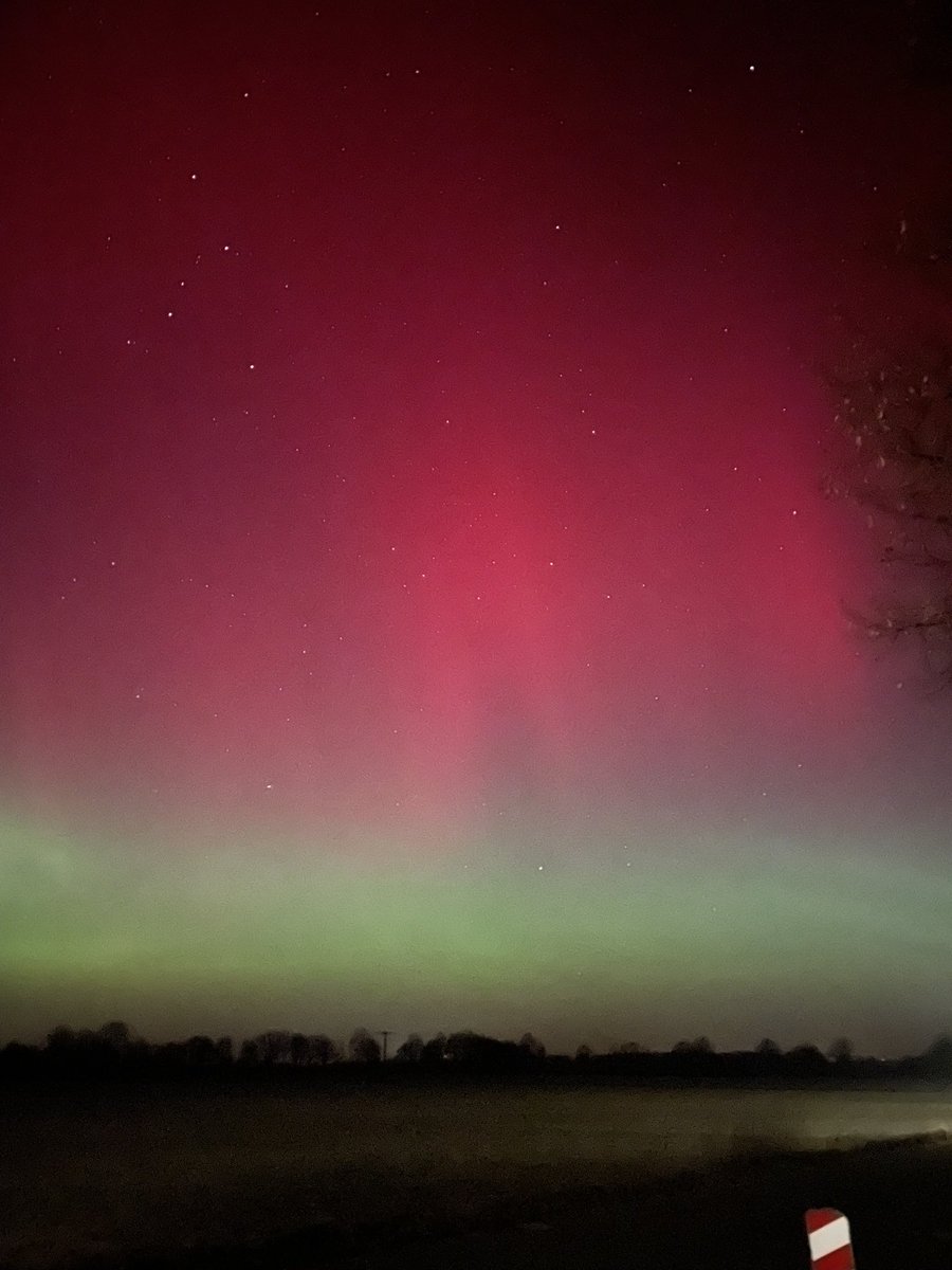 zerojunge's tweet image. wie schön