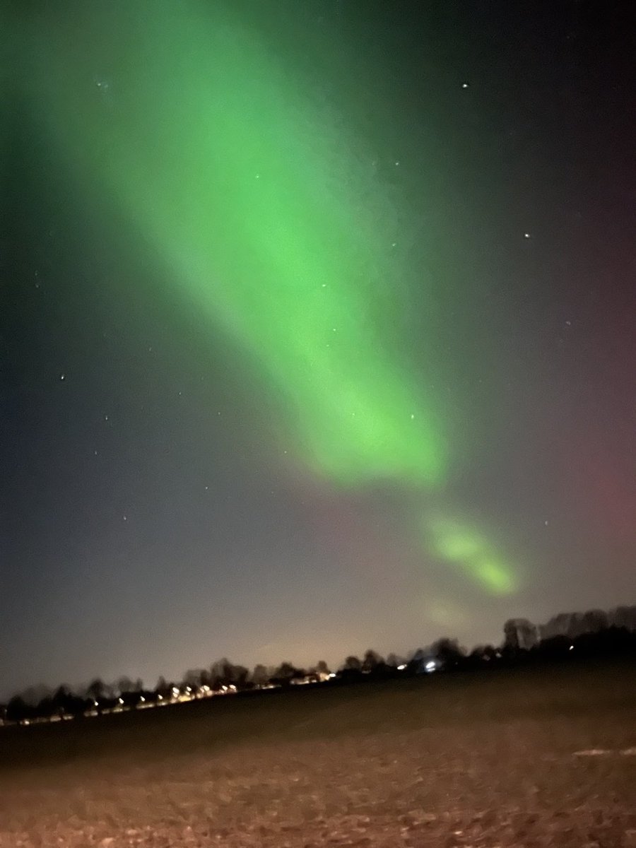 zerojunge's tweet image. wie schön