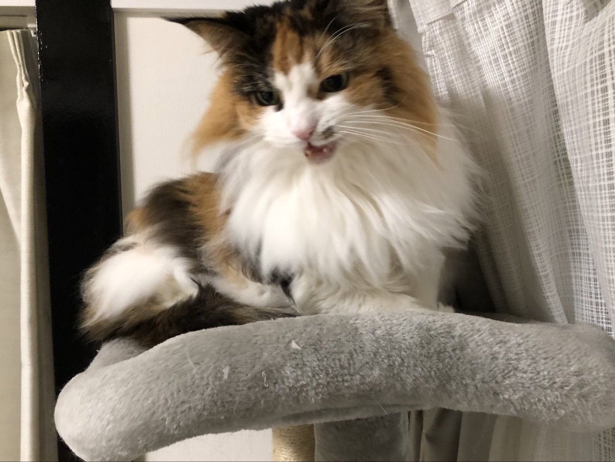 ヨッシー (@AOGSDkw5Qmr1X51) / Posts / X