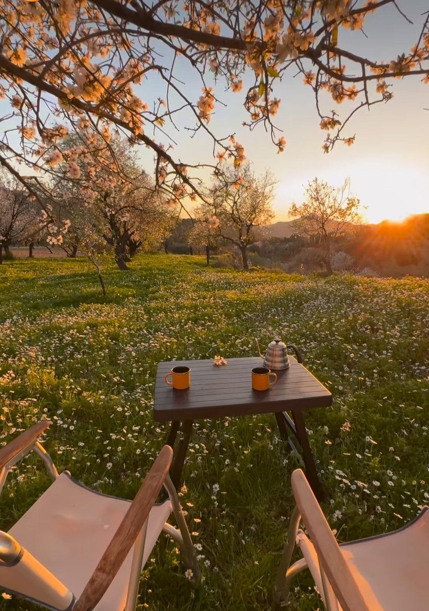 ᅠ ᅠ (@greendreaams) on Twitter photo 