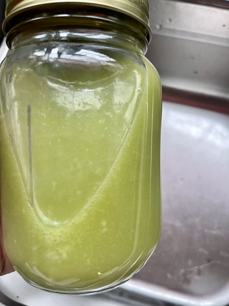 AllahMagnetic's tweet image. Fresh Juice made from Green Apples, Lemons, Ginger, &amp;amp; Cucumbers. Rosemary Tea for later, and I found some Soursop at K&amp;amp;S World Market too! 

Invest in Self. Your Mind, Body &amp;amp; Soul will thank you…

#HowToEatToLive Because #HealthIsWealth