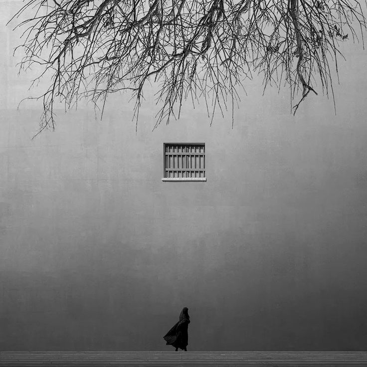literlandweb1's tweet photo. "Pienso no aguantar nada que pueda dejar de lado."
Carta a J. Beauchamp Jones, 8 de agosto de 1839, Edgar Allan Poe
📷Ali Zolghadri https://t.co/Ni1b1KcbK5