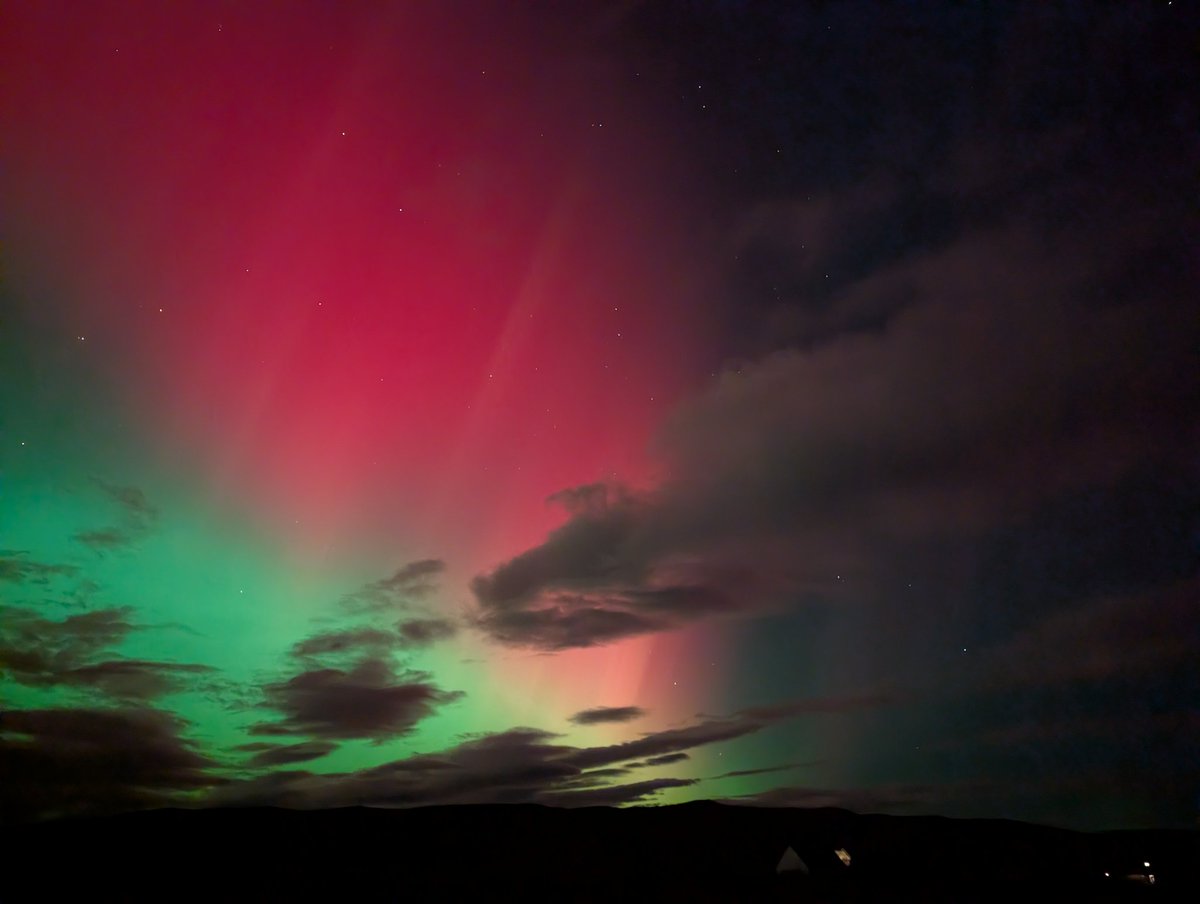 Annie O'Garra Worsley tweet media