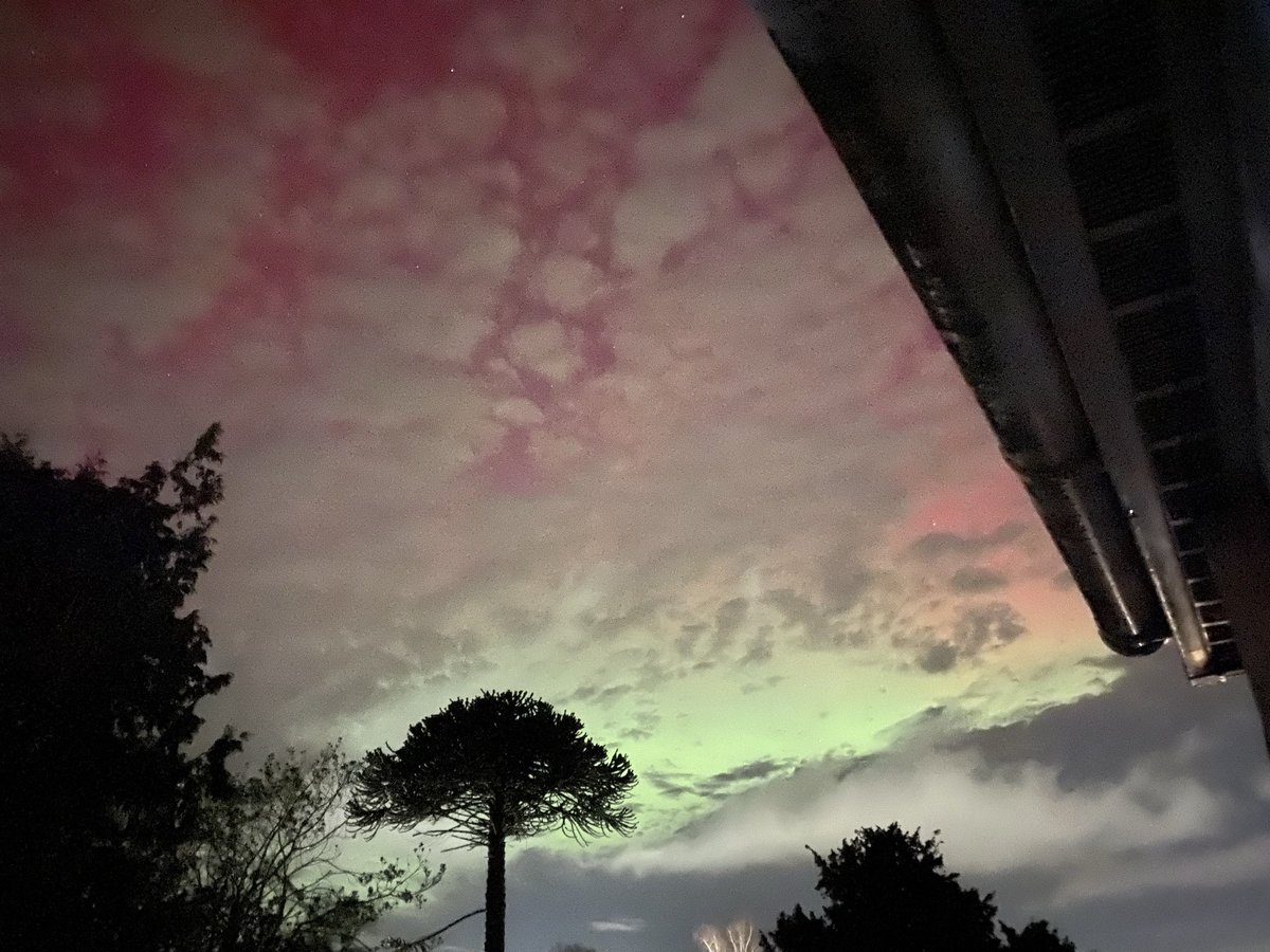 Elafedup's tweet image. Yes! South Devon UK