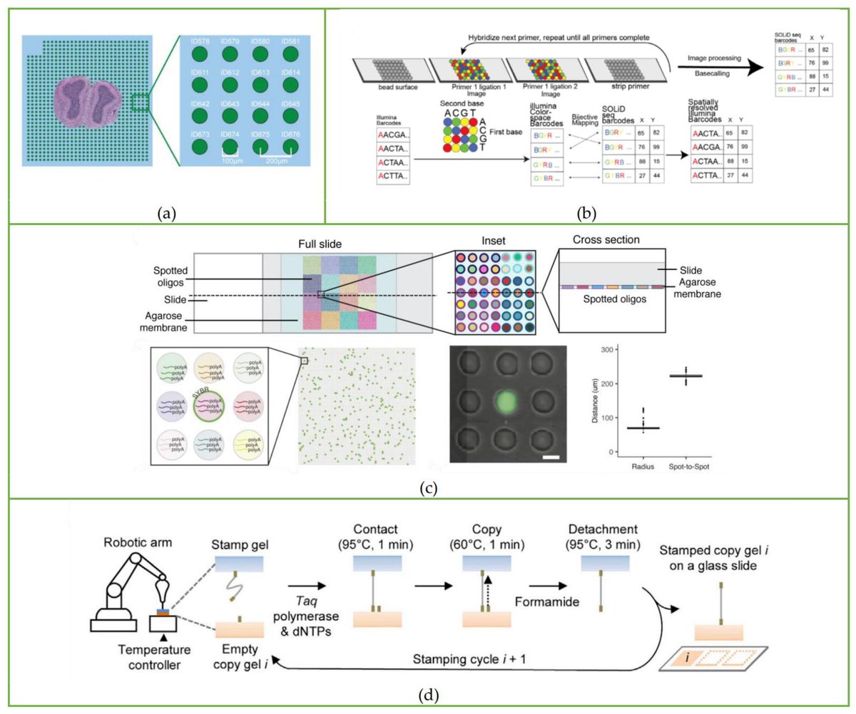 Biosensors_MDPI's tweet photo. 📣Call for Reading:
#Review
Spatial Omics Sequencing Based on Microfluidic Array Chips
by Jianyu Shi, et al.
https://t.co/foNMuwUrnf
#SpatialOmics #SingleCellSequencing #microfluidic
#biosensors #mdpi #openaccess https://t.co/l9ORTgq3BT