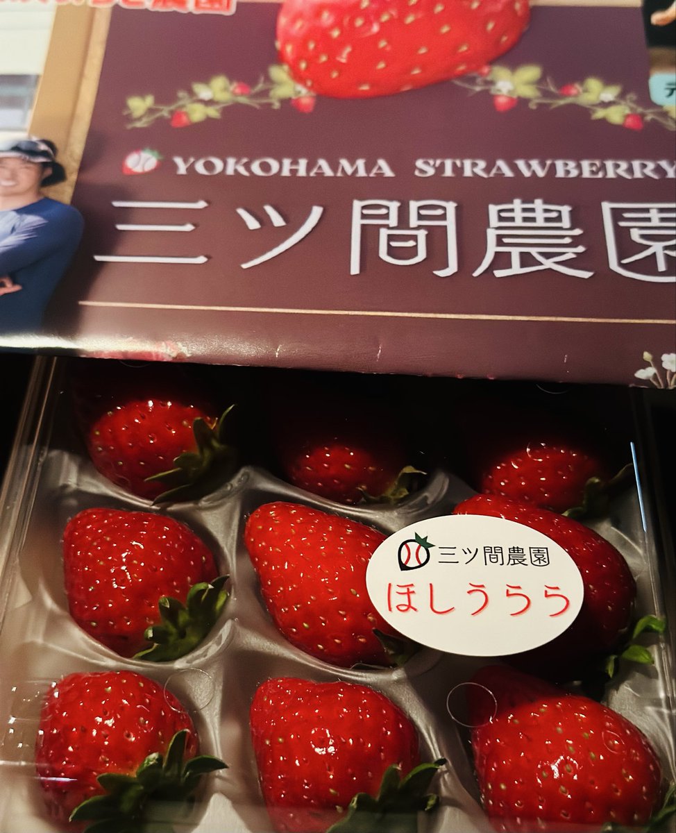 いちご　様　確認ページ❗ 中日ドラゴンズ、三ツ間投手、引退後いちご農園 私は子供の頃からプロ