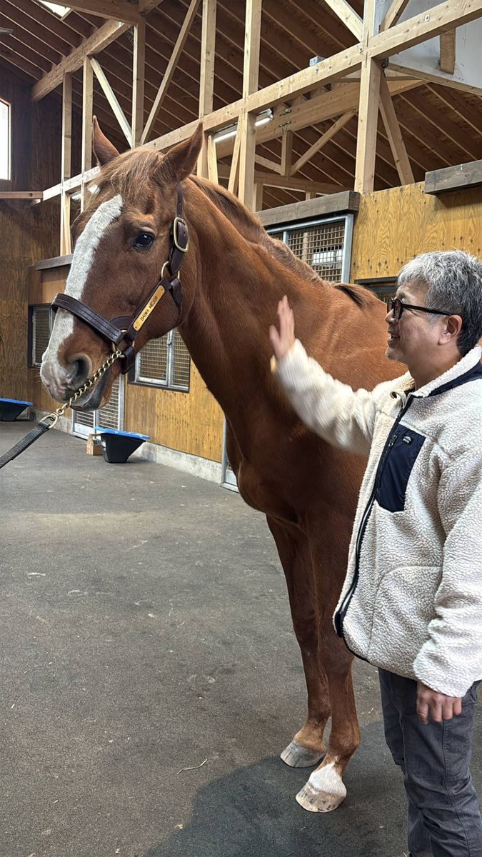 𝒚𝒐𝒔𝒉𝒊𝒌𝒊🏇 (@yoshikiumachan) / Posts / X