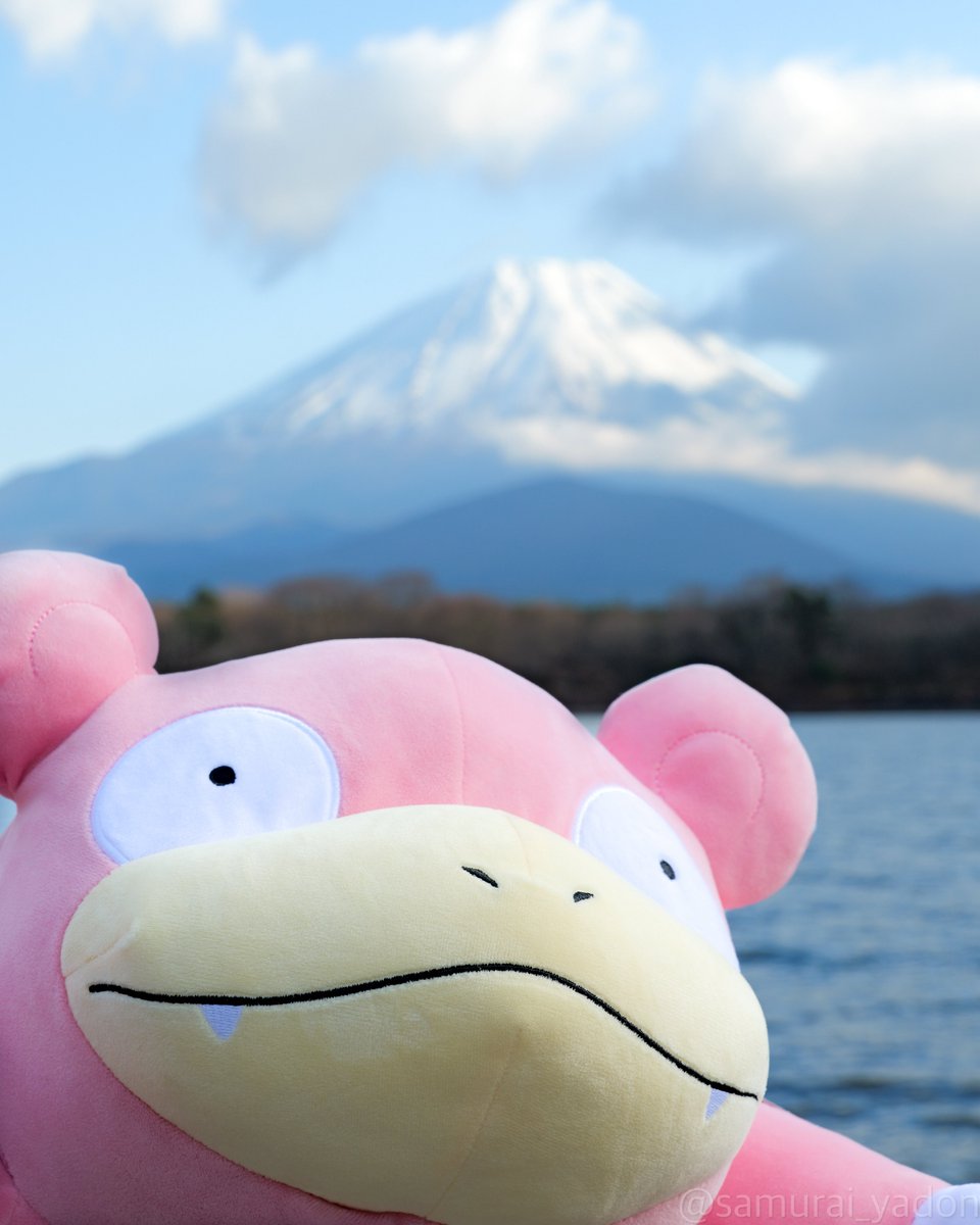 さむらいやどん tweet media