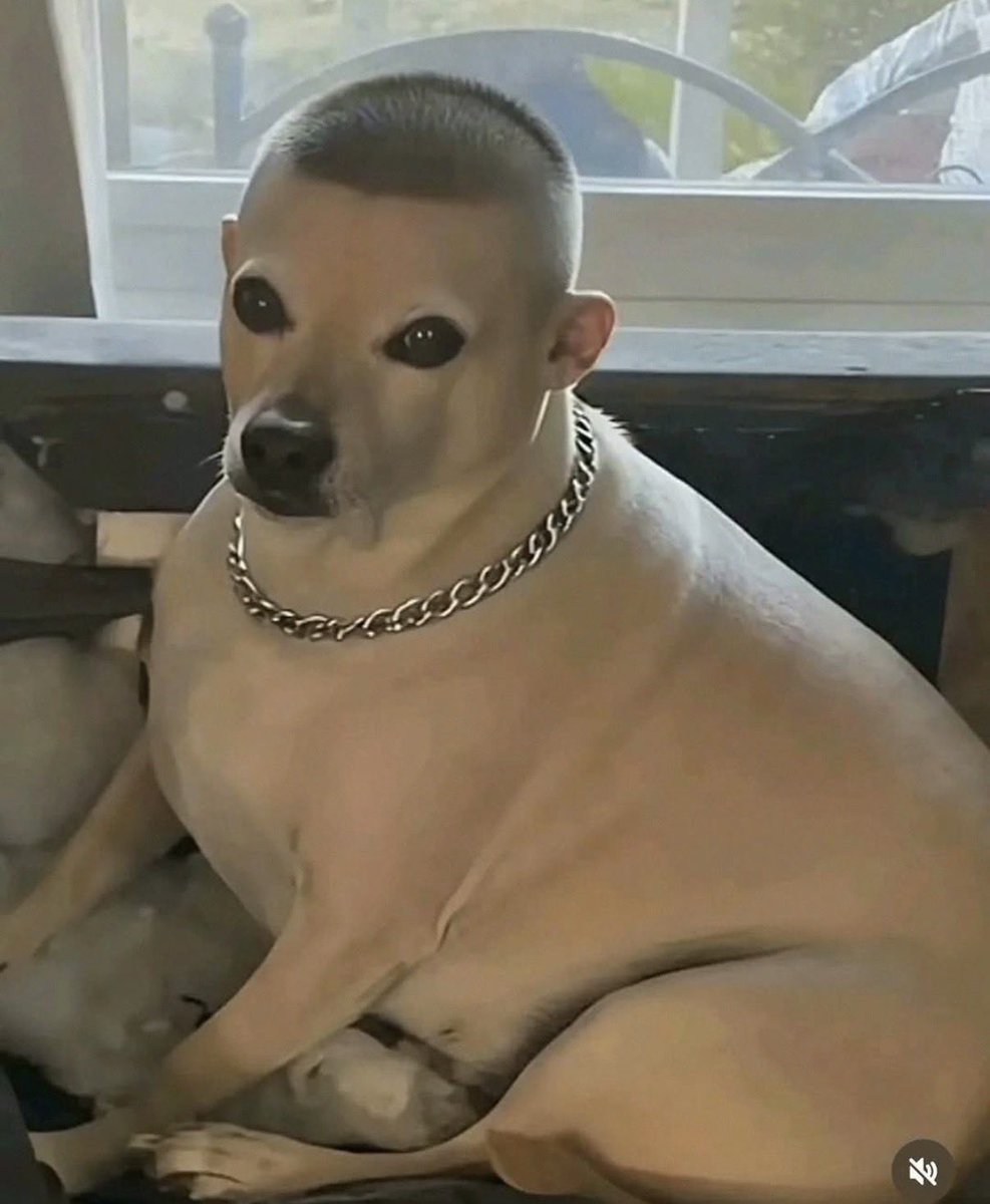 큼큼 올만입니다 트친들....