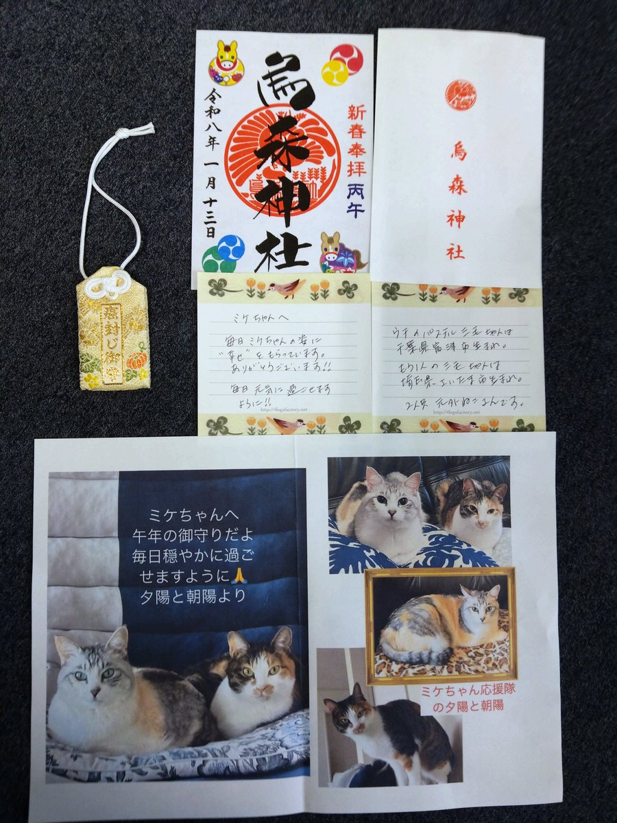 埼玉県在住のフォロワーさんから烏森神社の御朱印と癌封じのお守りが