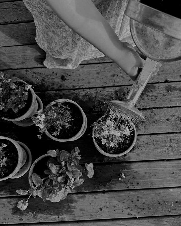 seratkawula's tweet image. ㅤ

𝗞𝗔𝗛𝗜𝗬𝗔𝗡𝗚 𝗔𝗥𝗨𝗡𝗜𝗞𝗔, 𝟭𝟵𝟵𝟵.
Baru saja mengundurkan diri dari pekerjaan lama dan kini kembali ke rumah di Solo. Saat ini sedang menikmati hobi bertanam. Kalau calon kawan, punya hobi apa?

ㅤ