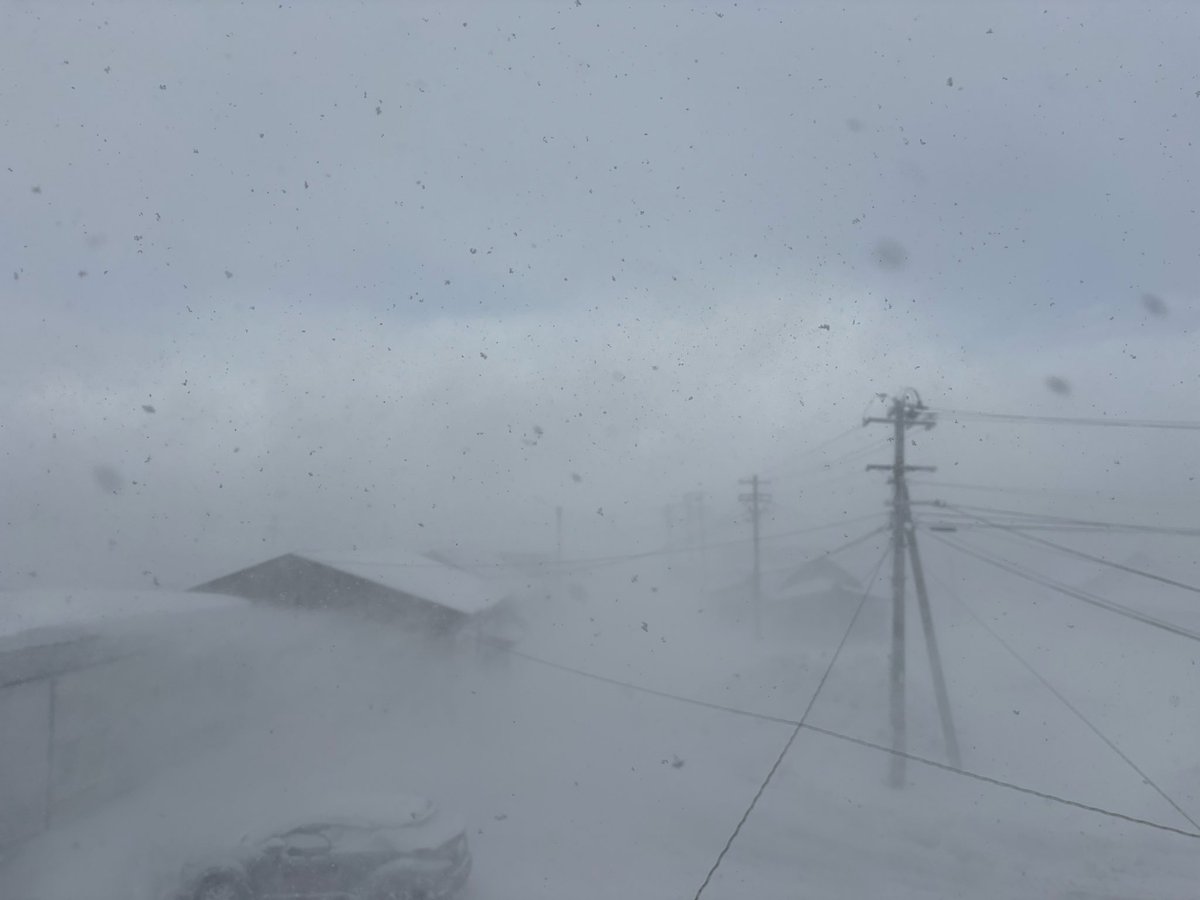 雪雨ページ APEX SEAL CERAMIC, 13B 3MM/1PC SILVER - Mazdatrix