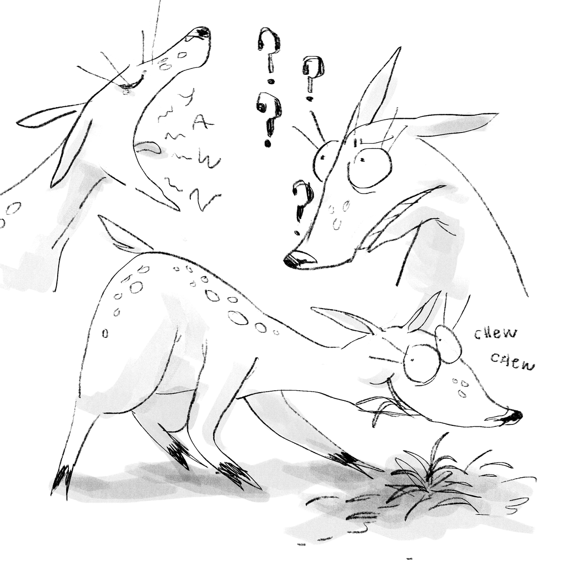 what an odd doe 