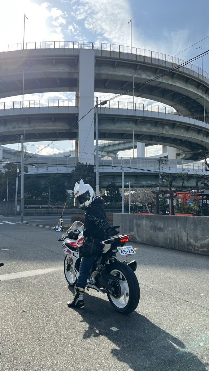 ねこかず (@VTwin_) / Posts / X