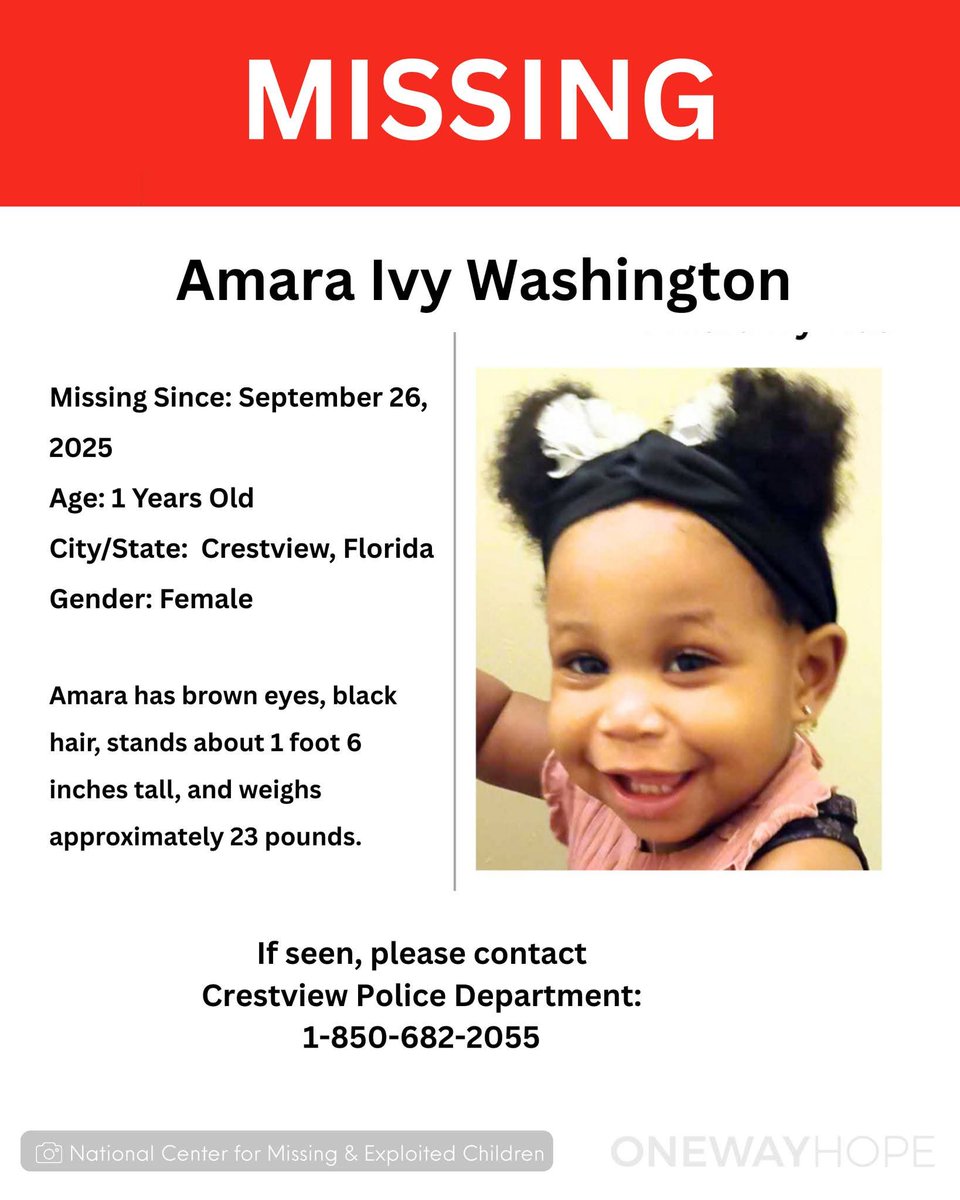 Missing and Searching tweet media