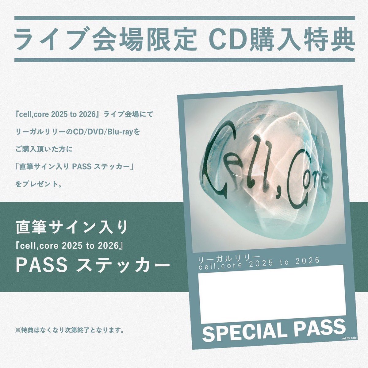 本日！ 『cell,core 2025 to 2026』《東京編》 ＼ 📍Zepp DiverCity