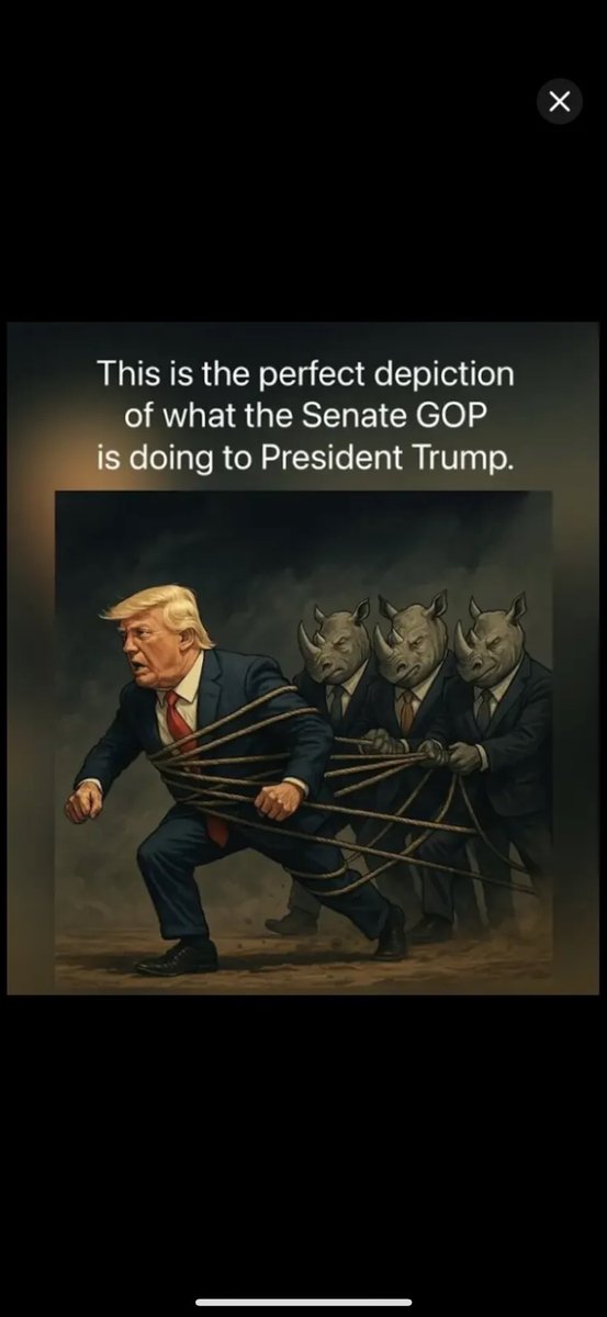 ChristineB56955's tweet photo. He’s going to be hearing from me. I helped get the SOB elected. WHO the hell did he get in bed with this fast! You have NO right to IGNORE the WILL of the PEOPLE. We got you in office, we will get your ass out! I will make it my mission to expose your betrayal. PASS THE SAVE ACT NOW!