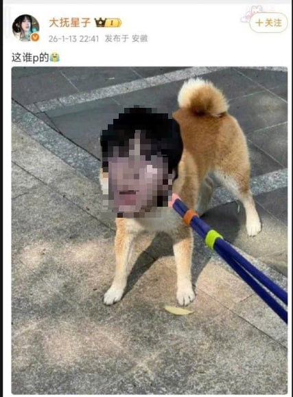 norenyj's tweet photo. International fans of Kipuka, may I ask you a question?
Ever since a colleague began using the image of a golden dog to describe QQ, he has been subjected for months to violent smears, insults, and humiliating imagery from colleagues’ fans and anti-fans.
#KipukaQiu #QiuDingJie https://t.co/peIlBg1feL
