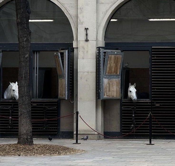 ✸ (@wsseokt) on Twitter photo 