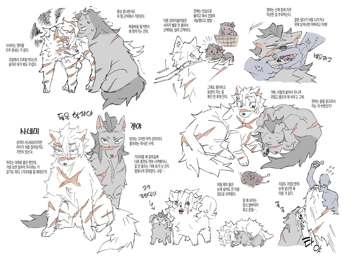 콜라겐 tweet media