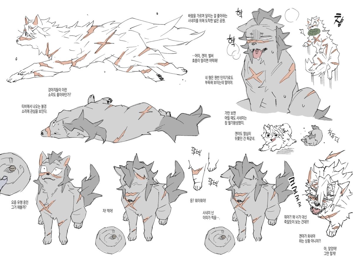 콜라겐 tweet media