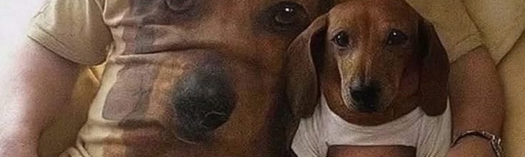 dailypxst's tweet image. tap the post