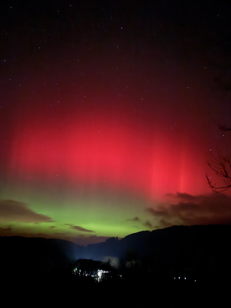 Miss LJ Beauty tweet media