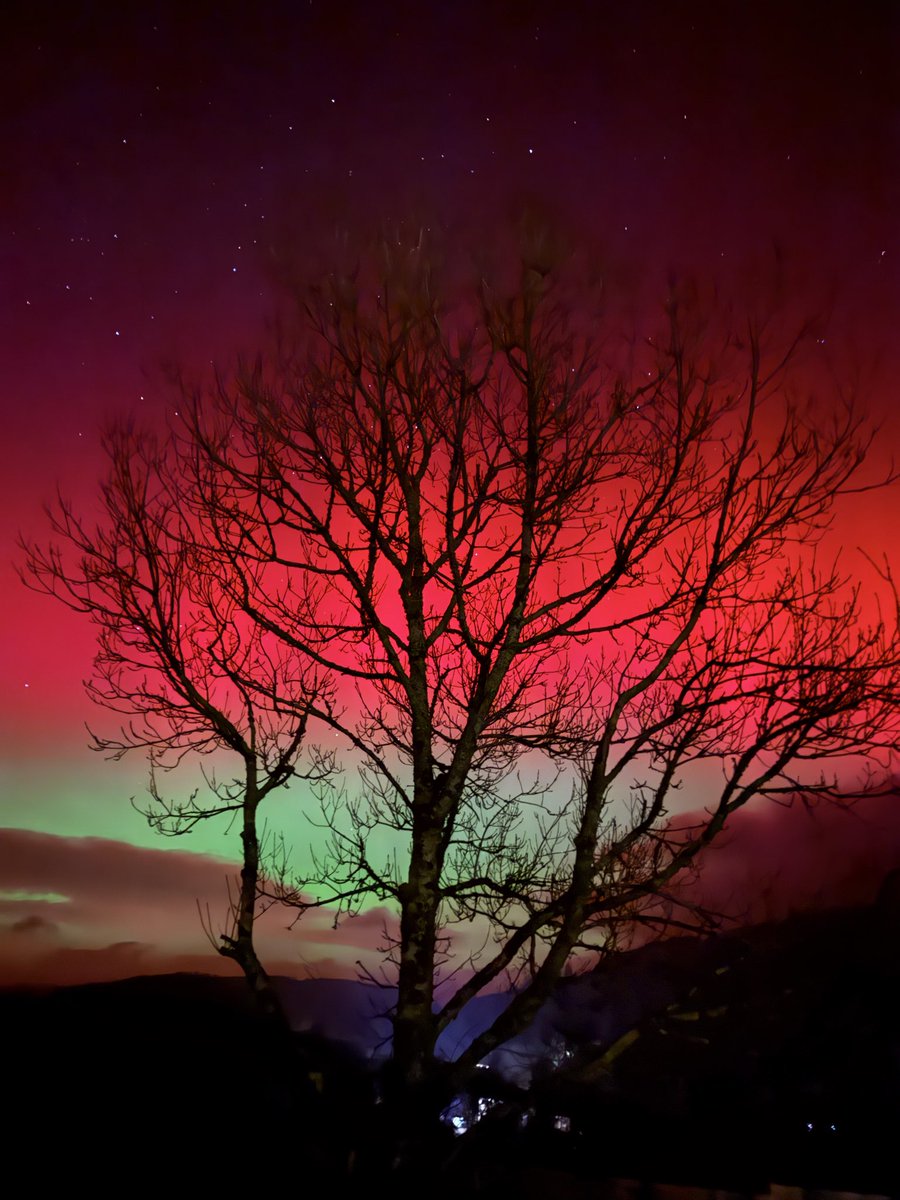 Miss LJ Beauty tweet media