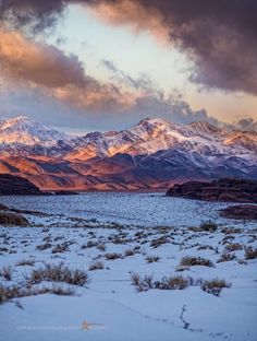 كوثر 🤍 (@kausaralamer) on Twitter photo 