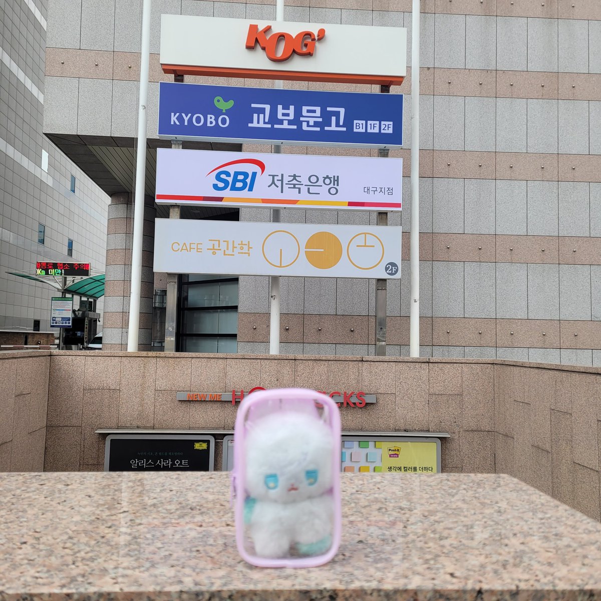 대구 명물 보러옴