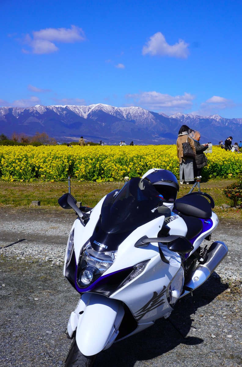 とらちゃん (@torachan675r1) / Posts / X