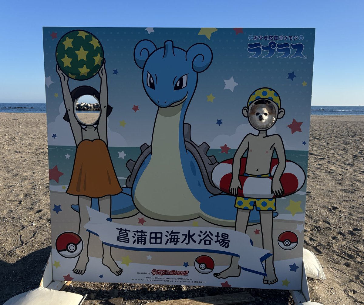 mjs_sol_tohoku's tweet photo. おつかれさまです☕️
1月20日(火)仙台1℃☀️

海にお散歩に行ったら顔はめパネルあったのでやって貰いました🐶
めっちゃやらせられ顔😂

宮城のご当地ポケモンはラプラスなんです⛵️
他県のポケモンも調べてみたら面白かったです🙌

#企業公式つぶやき部
#企業公式相互フォロー https://t.co/IWGf7J8Ern