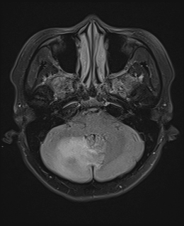 Rohit Sharma tweet media