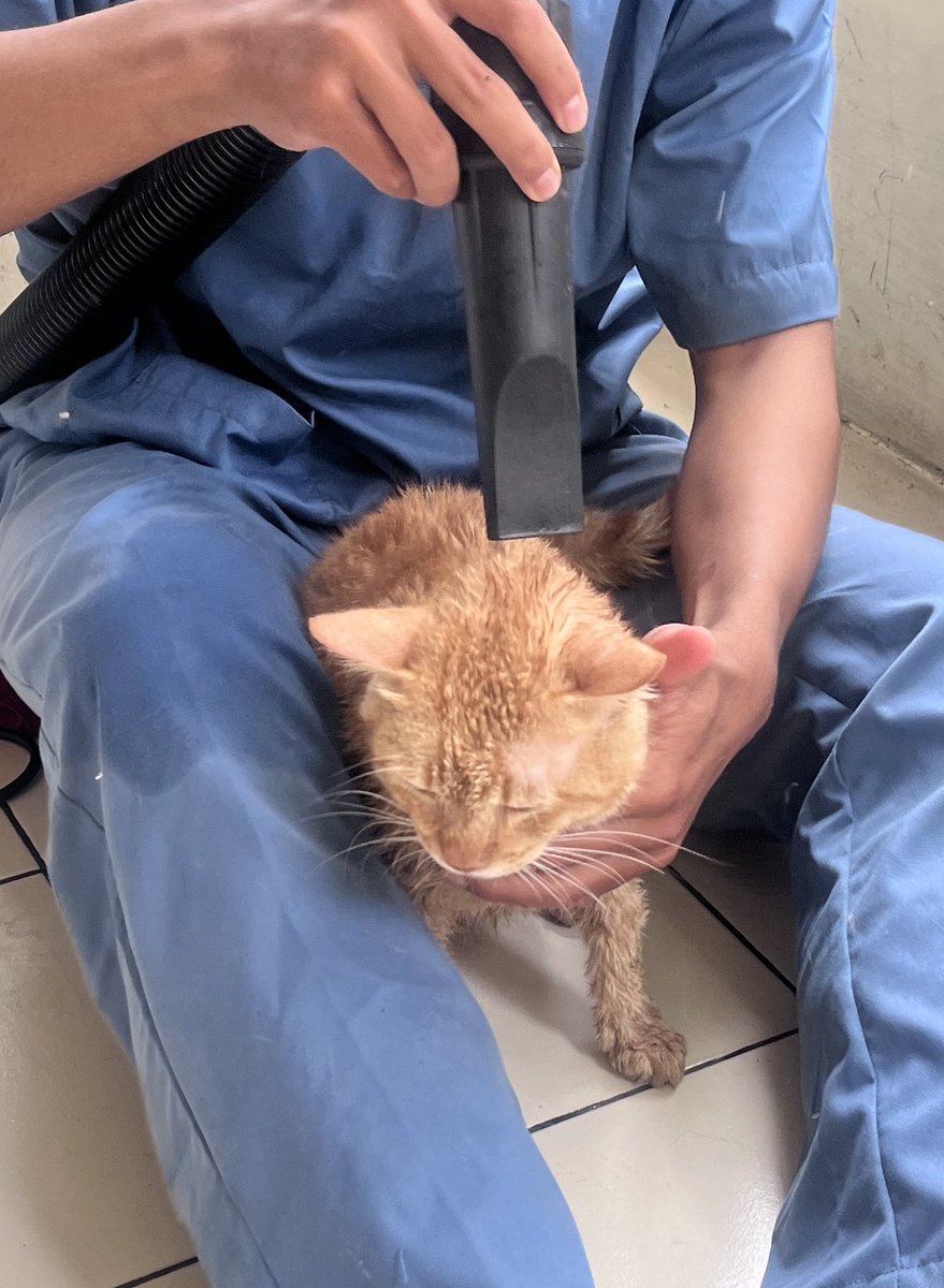 Milo🐥 Uno🦖 tweet media