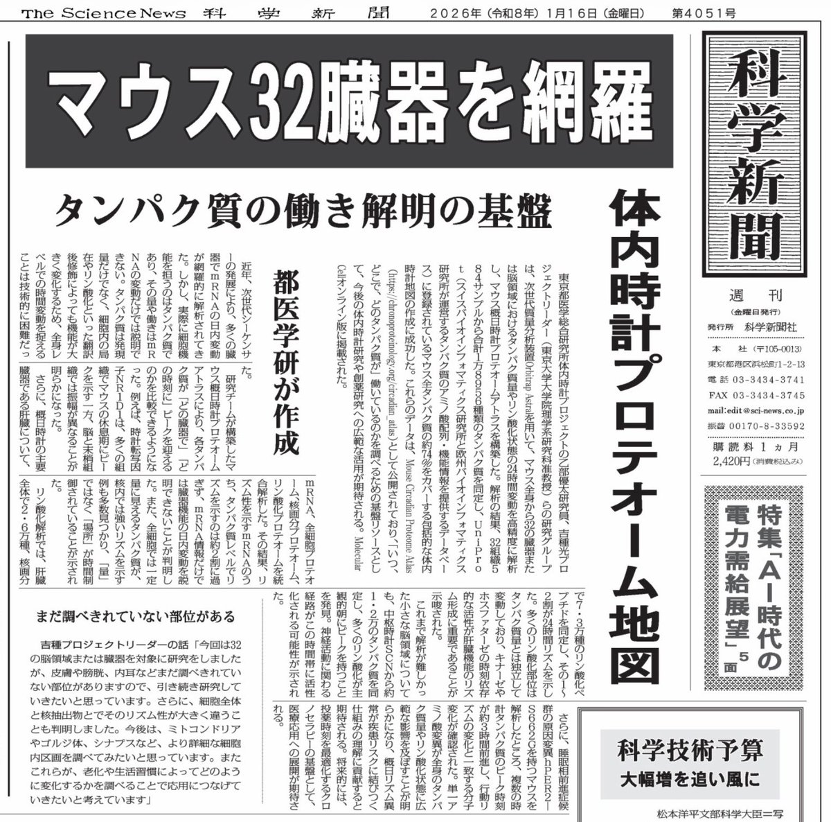 科学新聞でもMol Cellの研究成果を紹介してもらえました。1面topで大ボリュームの掲載で、ありがたいことです。
