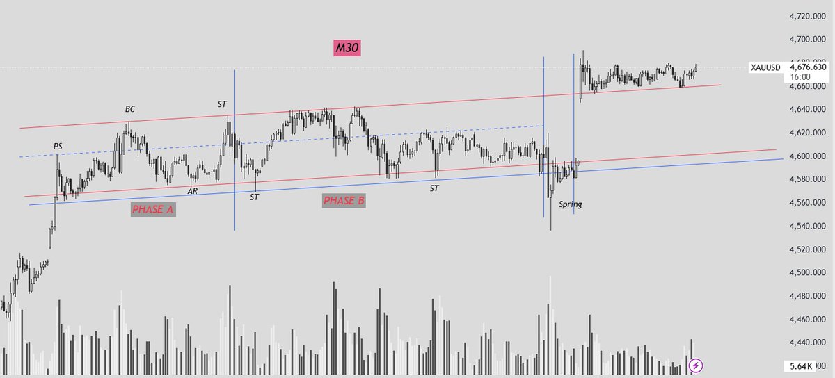 Liy Wicky tweet media