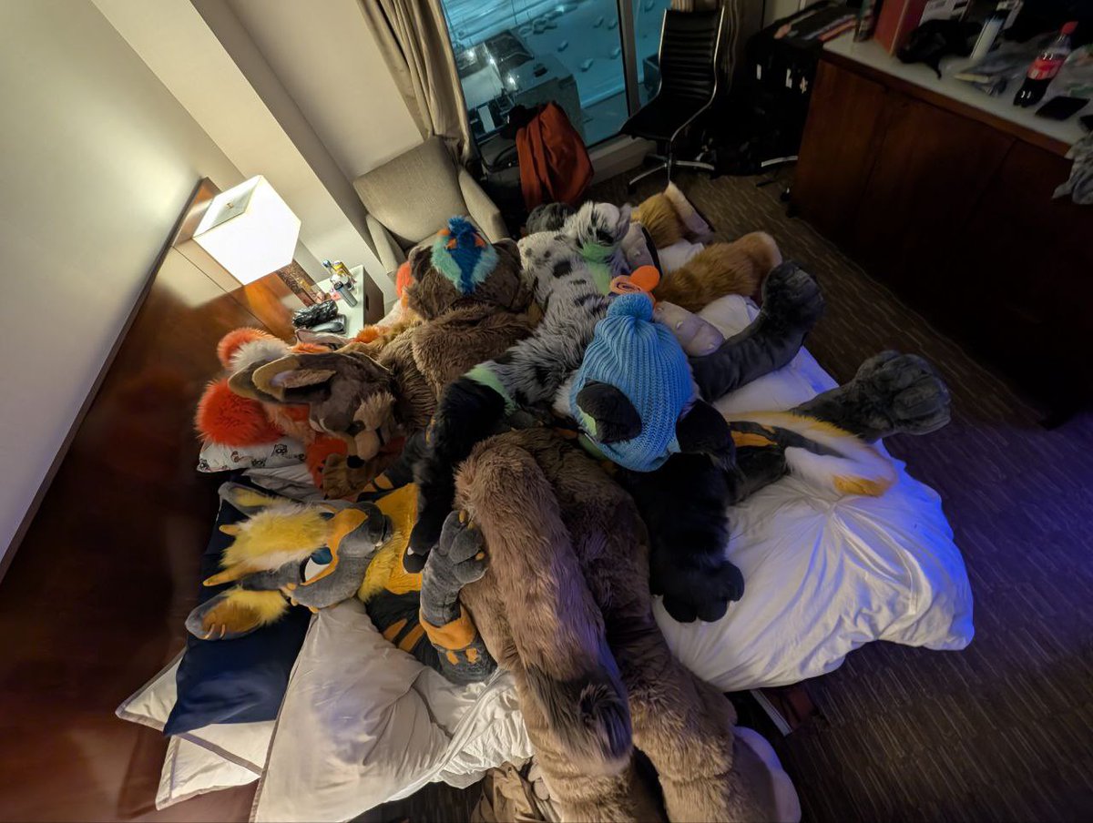 OranjeDog's tweet image. Oh the happy place..