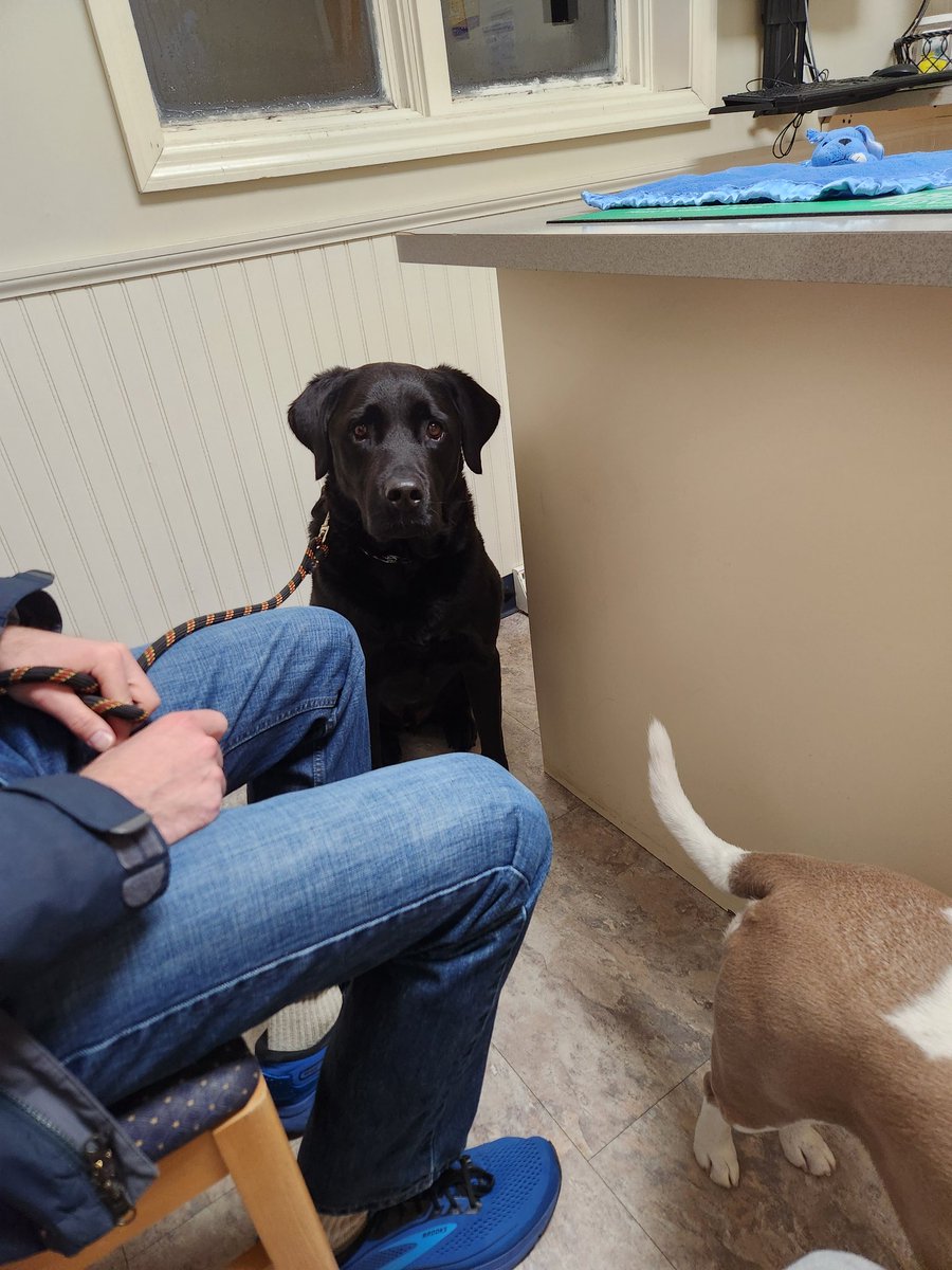 deplorablehomo tweet media