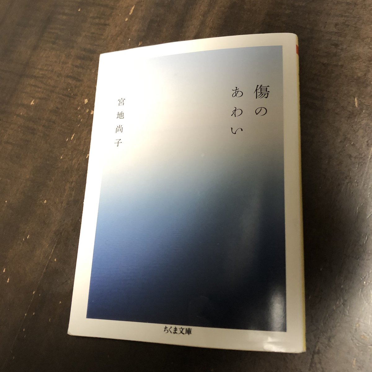 『傷のあわい』ちくま文庫（宮地尚子）

『傷を愛せるか』の著者の原点、ということで90年前後のアメリカにおける日本人たちのエスノグラフィ。

外野からは、恵まれていて傷つくわけがないように見える人も深く傷ついていることがある。改めて、人間の繊細さや複雑さ、自分のバイアスに気付かされる。