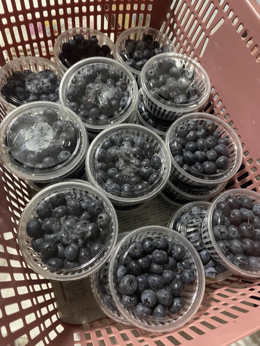 ブルーベリー農家の孫です。
そして、孫の私は珈琲屋です。

ブルーベリーの生産量、
都道府県別1位が
「東京都」だと聞いて、正直驚きました。

土地が広いからでも、
自然が豊かだからでもない。
続けられる仕組みがある場所が、
産地になるんだと思います。

地方では、
高齢化だから、