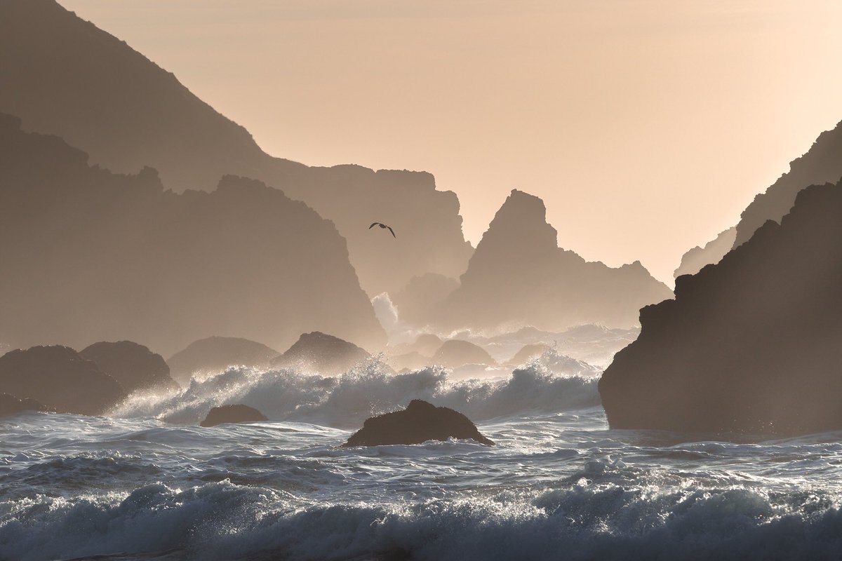 Peace on the pacific