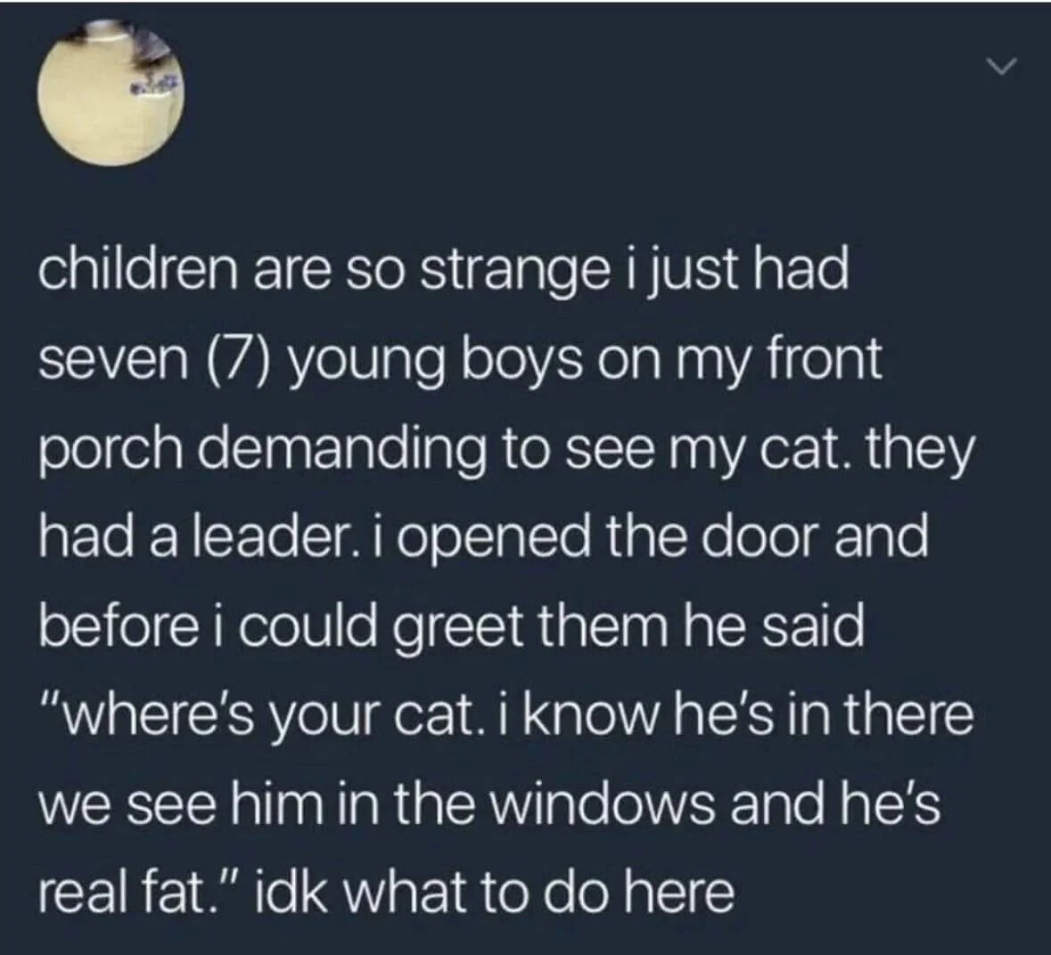 WholesomeMeme's tweet image. 