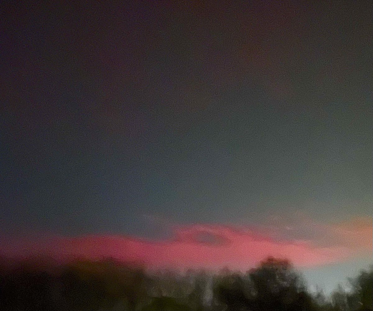 Jacquie Bridges tweet media