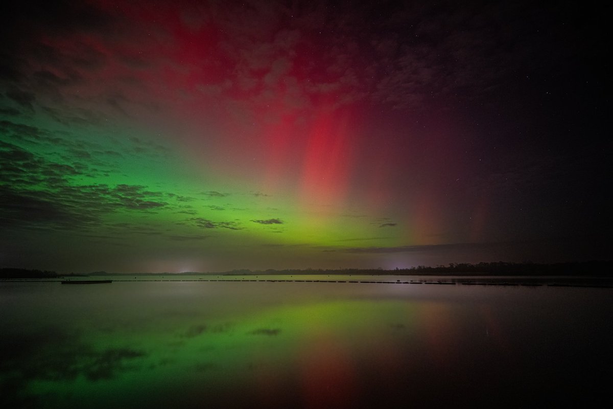 Jon Kelf tweet media