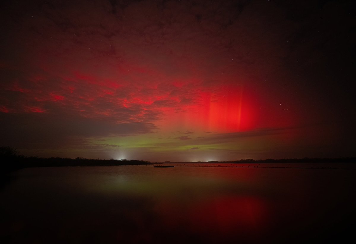 Jon Kelf tweet media