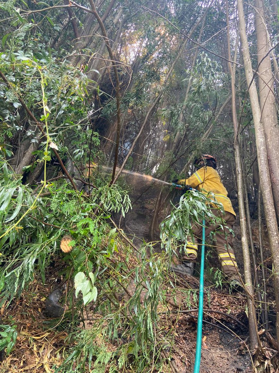 1ª Brigada Forestal Voluntaria de Chile tweet media