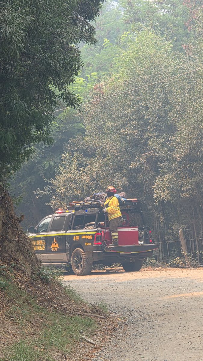 1ª Brigada Forestal Voluntaria de Chile tweet media